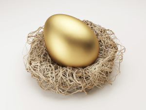 Golden Nest Egg - Web